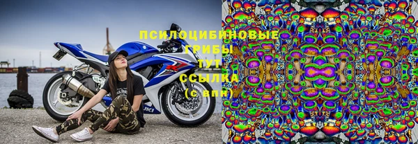 PSILOCYBIN Абинск