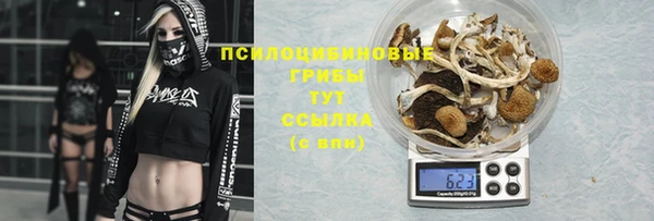 2c-b Алексеевка